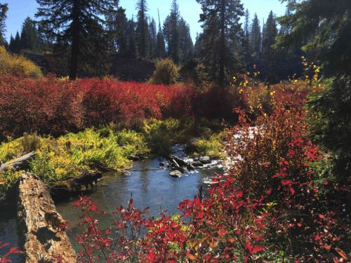 Fall colors below Fish Lake Oregon