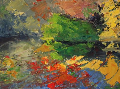 Sue W, "a riot of color" at Lithia Park pond