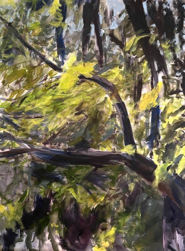 Sue W "Wild Understory" 40x30"