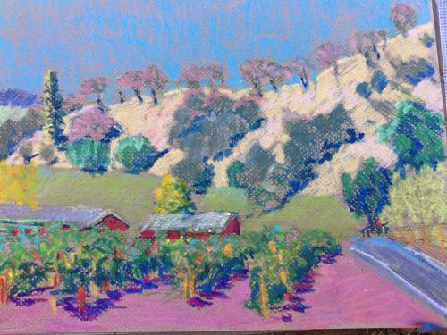 Dixie, oil pastel
